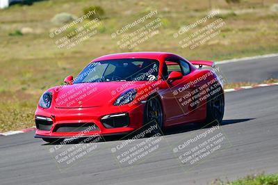 media/Apr-07-2024-VIP Trackdays (Sun) [[358c235f4a]]/Intermediate Group/Session 2 (Turn 6)/